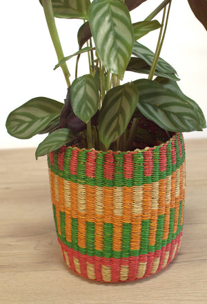 
                  
                    Plant Basket Duo
                  
                