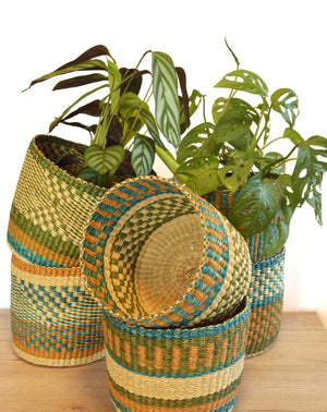 
                  
                    Set of 3 Planters
                  
                