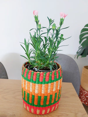 
                  
                    Plant Basket Duo
                  
                