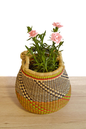 
                  
                    Plant handle basket - Small
                  
                