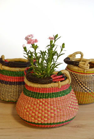 
                  
                    Plant handle basket - Small
                  
                