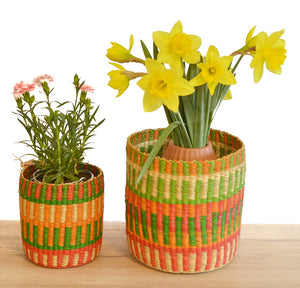 
                  
                    Plant Basket Duo
                  
                