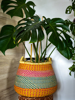 
                  
                    Decorative Plant Basket/Shopping Basket
                  
                