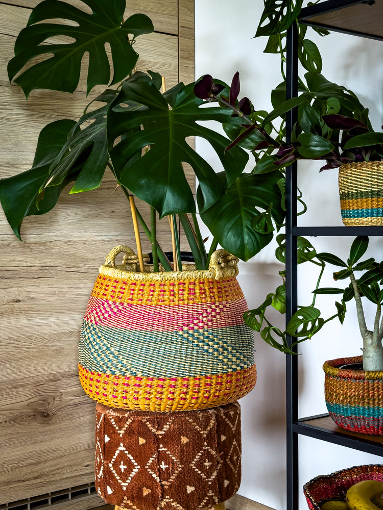 
                  
                    Decorative Plant Basket/Shopping Basket
                  
                