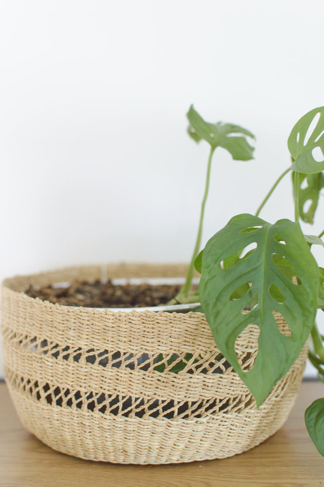 
                  
                    Plant Basket / Storage Basket
                  
                