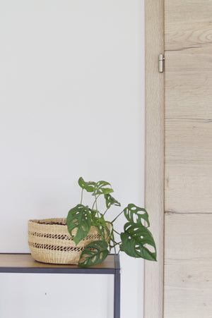 
                  
                    Plant Basket / Storage Basket
                  
                