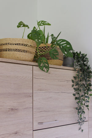 
                  
                    Plant Basket / Storage Basket
                  
                