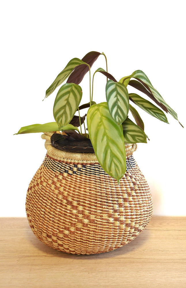 Plant handle basket - Small