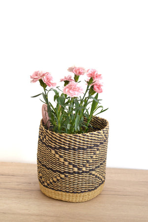 
                  
                    Plant Basket Duo
                  
                