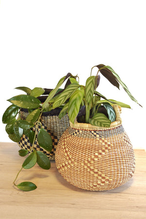 
                  
                    Plant handle basket - Small
                  
                