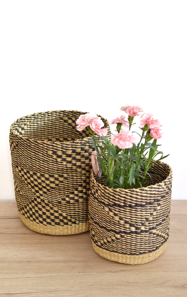 Plant Basket Duo