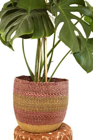 
                  
                    Plant Basket - Large
                  
                