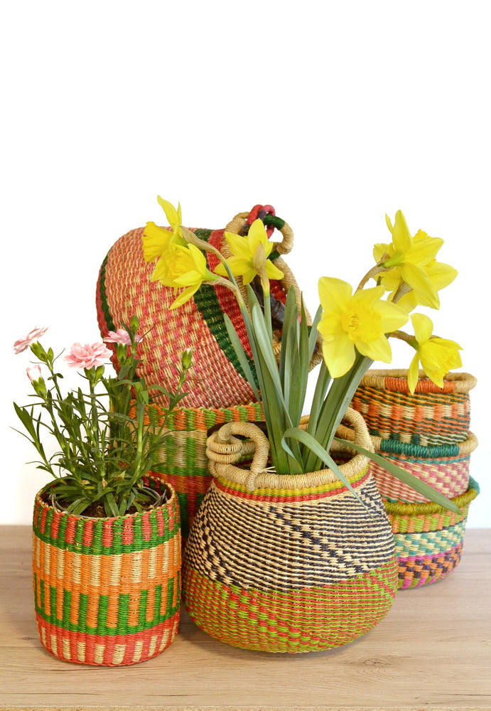 
                  
                    Plant handle basket - Small
                  
                