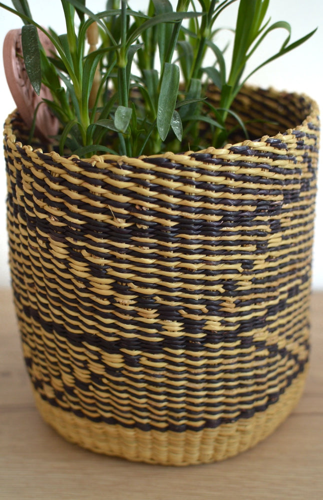 
                  
                    Plant Basket Duo
                  
                