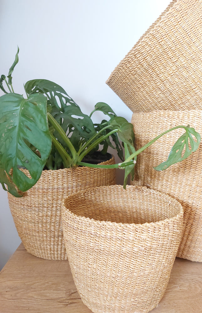 
                  
                    Set of 3 Planters
                  
                