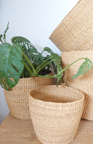
                  
                    Set of 3 Planters
                  
                