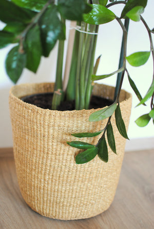 
                  
                    Plant Basket
                  
                