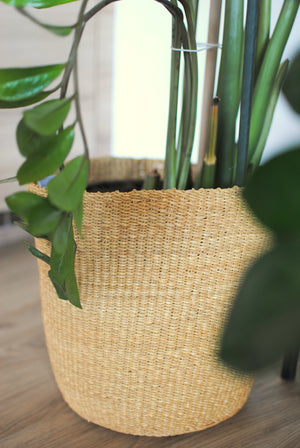 
                  
                    Plant Basket
                  
                