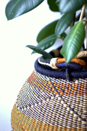 
                  
                    Plant Basket with Handles
                  
                
