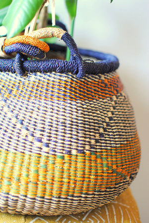 
                  
                    Plant Basket with Handles
                  
                