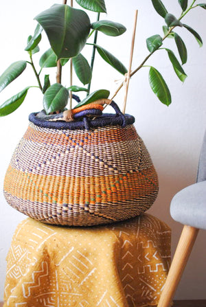 
                  
                    Plant Basket with Handles
                  
                