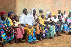 
                  
                    ghanaian ladies sitting with children at a meeting for shea butter cooperative
                  
                